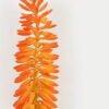 Artificial Flower 6*6*87cm Aloe flower single stem GS-41523010 Single Flowers YeahFlower is one of Chinese leading OEM manufacturers and exporters , supplying the silk flowers, wholesale artificial trees
