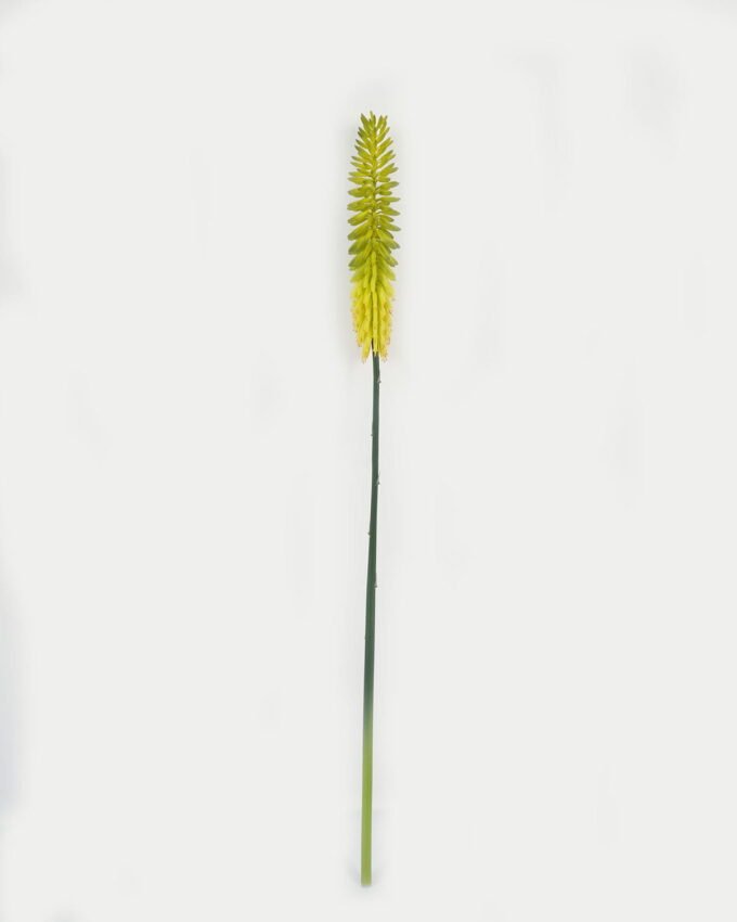 Artificial Flower 6*6*87cm Aloe flower single stem GS-41523010 Single Flowers YeahFlower is one of Chinese leading OEM manufacturers and exporters , supplying the silk flowers, wholesale artificial trees