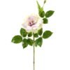 Artificial Flower 26*26*66cm Chinese rose single stem GS-39123007 Single Flowers YeahFlower is one of Chinese leading OEM manufacturers and exporters , supplying the silk flowers, wholesale artificial trees