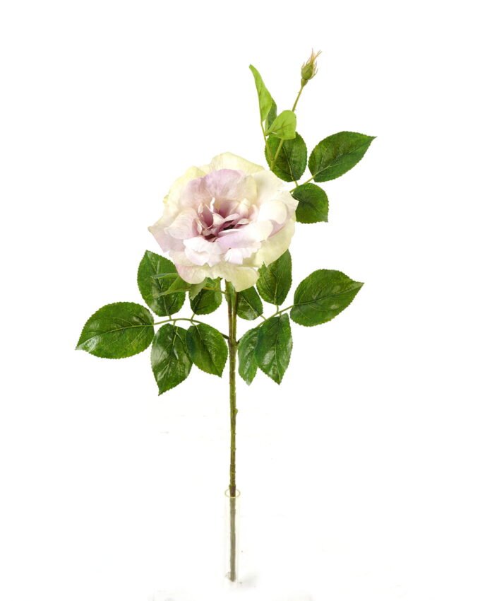 Artificial Flower 26*26*66cm Chinese rose single stem GS-39123007 Single Flowers YeahFlower is one of Chinese leading OEM manufacturers and exporters , supplying the silk flowers, wholesale artificial trees