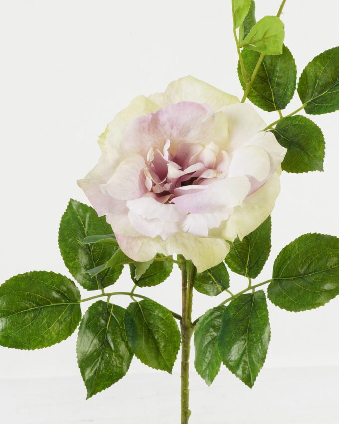 Artificial Flower 26*26*66cm Chinese rose single stem GS-39123007 Single Flowers YeahFlower is one of Chinese leading OEM manufacturers and exporters , supplying the silk flowers, wholesale artificial trees