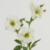 Artificial Flower Christmas Rose single stem GS-39123009-W1_7 Artificial Flower 23*23*62cm Christmas Rose single stem GS-39123009-W1 Single Flowers YeahFlower is one of Chinese leading OEM manufacturers and exporters , supplying the silk flowers, wholesale artificial trees