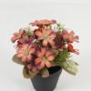 Artificial Flower 17*17*18cm Daisy in PP pot GS-03323045 Potted Flowers&Plants YeahFlower is one of Chinese leading OEM manufacturers and exporters , supplying the silk flowers, wholesale artificial trees