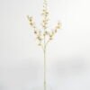 Artificial Flower 16*16*89cm Dancing Lady Orchid single stem GS-64923013CONTI-W1 Single Flowers YeahFlower is one of Chinese leading OEM manufacturers and exporters , supplying the silk flowers, wholesale artificial trees