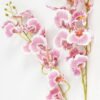 Artificial Flower 16*16*89cm Dancing Lady Orchid single stem GS-64923013CONTI Single Flowers YeahFlower is one of Chinese leading OEM manufacturers and exporters , supplying the silk flowers, wholesale artificial trees