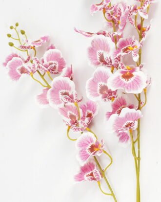 Artificial Flower 16*16*89cm Dancing Lady Orchid single stem GS-64923013CONTI Single Flowers YeahFlower is one of Chinese leading OEM manufacturers and exporters , supplying the silk flowers, wholesale artificial trees
