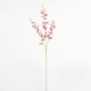 Artificial Flower 16*16*89cm Dancing Lady Orchid single stem GS-64923013CONTI Single Flowers YeahFlower is one of Chinese leading OEM manufacturers and exporters , supplying the silk flowers, wholesale artificial trees