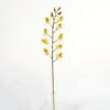 Artificial Flower 11*54cm Dendrobium single stem GS-64923017CONTI Single Flowers YeahFlower is one of Chinese leading OEM manufacturers and exporters , supplying the silk flowers, wholesale artificial trees