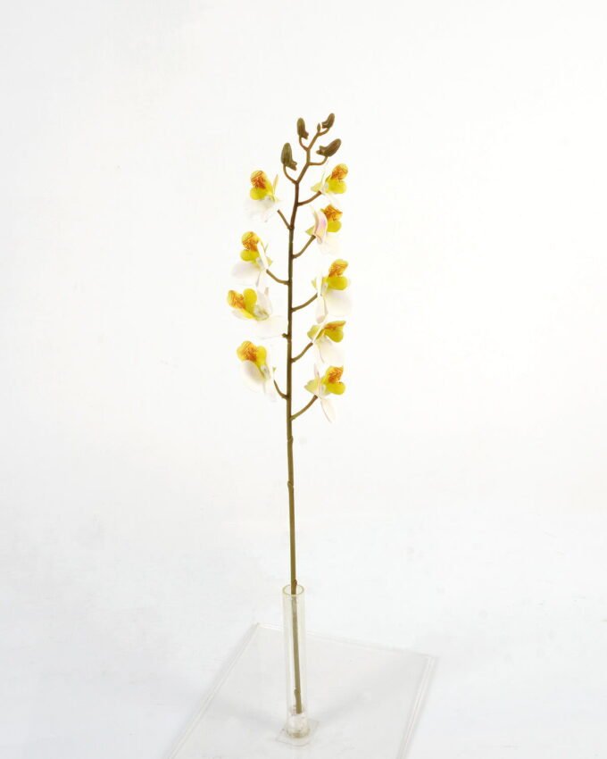 Artificial Flower 11*54cm Dendrobium single stem GS-64923017CONTI Single Flowers YeahFlower is one of Chinese leading OEM manufacturers and exporters , supplying the silk flowers, wholesale artificial trees