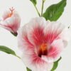 Artificial Flower 23*23*66cm Flower *3 single stem GS-39123014CONTI-P1 Single Flowers YeahFlower is one of Chinese leading OEM manufacturers and exporters , supplying the silk flowers, wholesale artificial trees