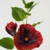 Artificial Flower 23*23*66cm Flower *3 single stem GS-39123014CONTI Single Flowers YeahFlower is one of Chinese leading OEM manufacturers and exporters , supplying the silk flowers, wholesale artificial trees