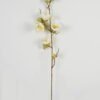 Artificial Flower 20*20*90cm Flower single stem GS-64723007CONTI-W1 Single Flowers YeahFlower is one of Chinese leading OEM manufacturers and exporters , supplying the silk flowers, wholesale artificial trees