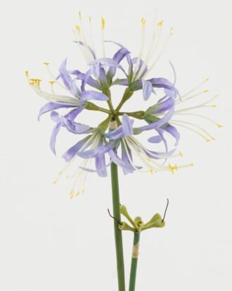 Artificial Flower 16*16*64cm Flower single stem GS-64723008CONTI-Z1 Single Flowers YeahFlower is one of Chinese leading OEM manufacturers and exporters , supplying the silk flowers, wholesale artificial trees