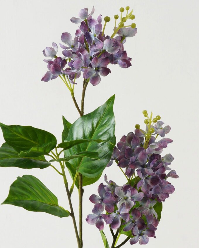 Artificial Flower Flowers 2 single stem GS-39123005CONTI-Z1_1 Artificial Flower 30*30*75cm Flowers *2 single stem GS-39123005CONTI-Z1 Single Flowers YeahFlower is one of Chinese leading OEM manufacturers and exporters , supplying the silk flowers, wholesale artificial trees