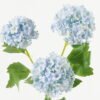 Artificial Flower  GS-15423031CONTI Single Flowers YeahFlower is one of Chinese leading OEM manufacturers and exporters , supplying the silk flowers, wholesale artificial trees