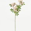 Artificial Flower  GS-15423034CONTI-P1 Single Flowers YeahFlower is one of Chinese leading OEM manufacturers and exporters , supplying the silk flowers, wholesale artificial trees