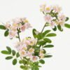 Artificial Flower  GS-15423034CONTI-P1 Single Flowers YeahFlower is one of Chinese leading OEM manufacturers and exporters , supplying the silk flowers, wholesale artificial trees