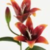 Artificial Flower  GS-15423035CONTI-R1 Single Flowers YeahFlower is one of Chinese leading OEM manufacturers and exporters , supplying the silk flowers, wholesale artificial trees