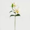 Artificial Flower  GS-15423035CONTI-W1 Single Flowers YeahFlower is one of Chinese leading OEM manufacturers and exporters , supplying the silk flowers, wholesale artificial trees