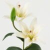 Artificial Flower  GS-15423035CONTI-W1 Single Flowers YeahFlower is one of Chinese leading OEM manufacturers and exporters , supplying the silk flowers, wholesale artificial trees