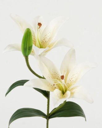 Artificial Flower  GS-15423035CONTI-W1 Single Flowers YeahFlower is one of Chinese leading OEM manufacturers and exporters , supplying the silk flowers, wholesale artificial trees