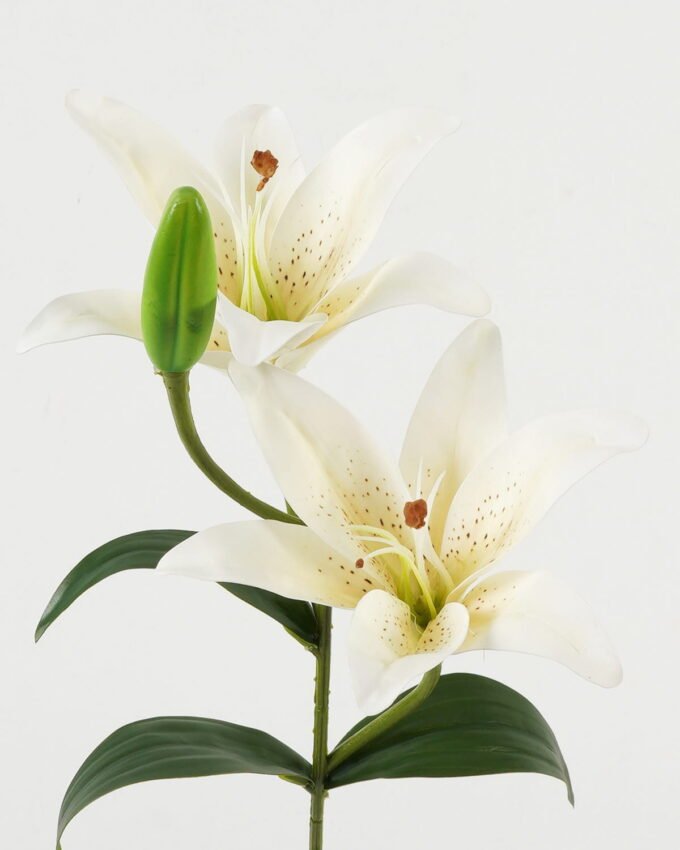 Artificial Flower  GS-15423035CONTI-W1 Single Flowers YeahFlower is one of Chinese leading OEM manufacturers and exporters , supplying the silk flowers, wholesale artificial trees