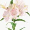 Artificial Flower  GS-15423041CONTI-P2 Single Flowers YeahFlower is one of Chinese leading OEM manufacturers and exporters , supplying the silk flowers, wholesale artificial trees