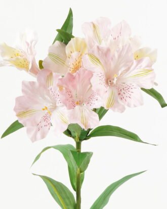 Artificial Flower  GS-15423041CONTI-P2 Single Flowers YeahFlower is one of Chinese leading OEM manufacturers and exporters , supplying the silk flowers, wholesale artificial trees