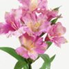 Artificial Flower  GS-15423041CONTI-Z1 Single Flowers YeahFlower is one of Chinese leading OEM manufacturers and exporters , supplying the silk flowers, wholesale artificial trees