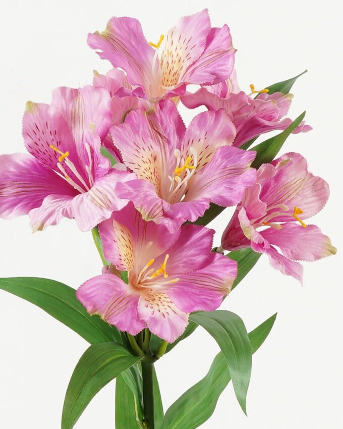 Artificial Flower  GS-15423041CONTI-Z1 Single Flowers YeahFlower is one of Chinese leading OEM manufacturers and exporters , supplying the silk flowers, wholesale artificial trees