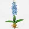 Artificial Flower  GS-15423045CONTI Flowers Bush YeahFlower is one of Chinese leading OEM manufacturers and exporters , supplying the silk flowers, wholesale artificial trees