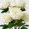 Artificial Flower  GS-17823001CONTI-W1 Flowers Bush YeahFlower is one of Chinese leading OEM manufacturers and exporters , supplying the silk flowers, wholesale artificial trees