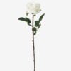 Artificial Flower GS-17823003CONTI-W1_3 Artificial Flower GS-17823003CONTI-W1 Single Flowers YeahFlower is one of Chinese leading OEM manufacturers and exporters , supplying the silk flowers, wholesale artificial trees