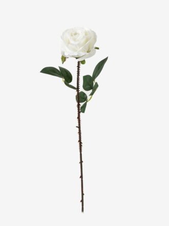 Artificial Flower  GS-15423041CONTI-W1 Single Flowers 3,000+ sqm showroom with thousands of artificial flowers, plants & trees ready for global sourcing.