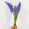 Artificial Flower 6*6*20cm Hyacinth+Garlic *3 single stem GS-41523019 Single Flowers YeahFlower is one of Chinese leading OEM manufacturers and exporters , supplying the silk flowers, wholesale artificial trees