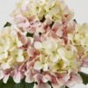 Artificial Flower 30*30*50cm  Hydrangea bush GS-64923015CONTI-P1 Flowers Bush YeahFlower is one of Chinese leading OEM manufacturers and exporters , supplying the silk flowers, wholesale artificial trees