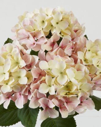 Artificial Flower 30*30*50cm Hydrangea bush GS-64923015CONTI-P1 Flowers Bush YeahFlower is one of Chinese leading OEM manufacturers and exporters , supplying the silk flowers, wholesale artificial trees Artificial Flower 30*30*50cm Hydrangea bush GS-64923015CONTI-P1 Flowers Bush YeahFlower is one of Chinese leading OEM manufacturers and exporters , supplying the silk flowers, wholesale artificial trees