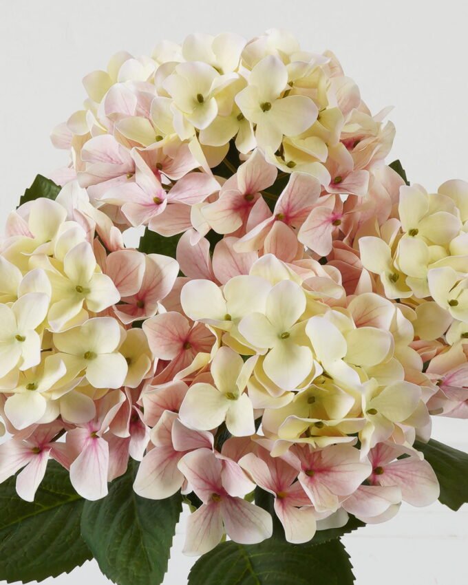 Artificial Flower 30*30*50cm  Hydrangea bush GS-64923015CONTI-P1 Flowers Bush YeahFlower is one of Chinese leading OEM manufacturers and exporters , supplying the silk flowers, wholesale artificial trees