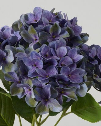 Artificial Flower 30*30*50cm Hydrangea bush GS-64923015CONTI-Z2 Flowers Bush YeahFlower is one of Chinese leading OEM manufacturers and exporters , supplying the silk flowers, wholesale artificial trees Artificial Flower 30*30*50cm Hydrangea bush GS-64923015CONTI-Z2 Flowers Bush YeahFlower is one of Chinese leading OEM manufacturers and exporters , supplying the silk flowers, wholesale artificial trees