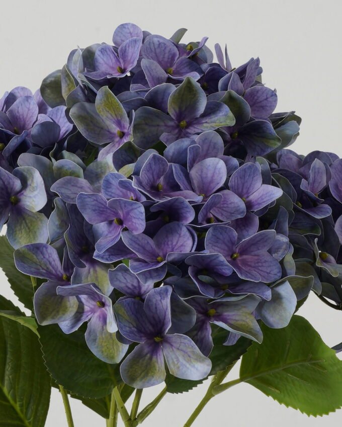 Artificial Flower Hydrangea bush GS-64923015CONTI-Z2_3 Artificial Flower 30*30*50cm  Hydrangea bush GS-64923015CONTI-Z2 Flowers Bush YeahFlower is one of Chinese leading OEM manufacturers and exporters , supplying the silk flowers, wholesale artificial trees