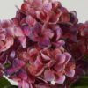 Artificial Flower Hydrangea bush GS-64923015CONTI-Z3_1 Artificial Flower 30*30*50cm Hydrangea bush GS-64923015CONTI-Z3 Flowers Bush YeahFlower is one of Chinese leading OEM manufacturers and exporters , supplying the silk flowers, wholesale artificial trees