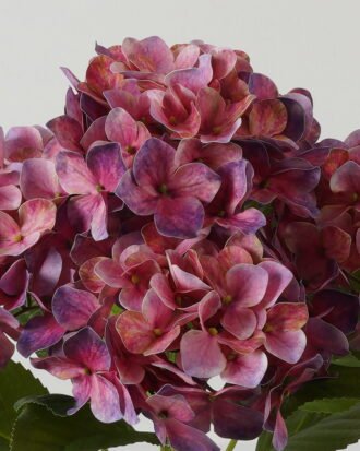 Artificial Flower 30*30*50cm Hydrangea bush GS-64923015CONTI-Z3 Flowers Bush YeahFlower is one of Chinese leading OEM manufacturers and exporters , supplying the silk flowers, wholesale artificial trees Artificial Flower 30*30*50cm Hydrangea bush GS-64923015CONTI-Z3 Flowers Bush YeahFlower is one of Chinese leading OEM manufacturers and exporters , supplying the silk flowers, wholesale artificial trees