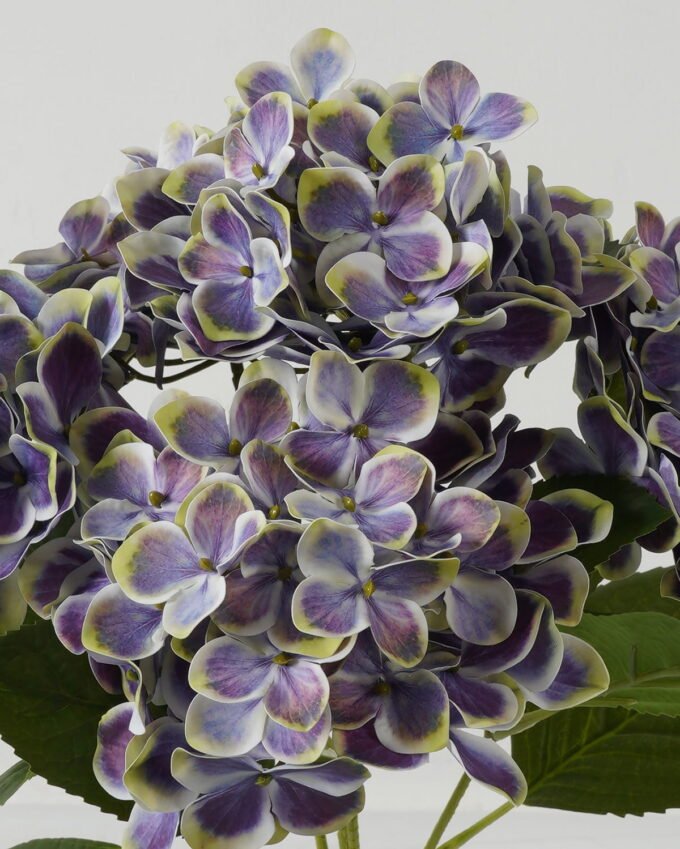 Artificial Flower Hydrangea bush GS-64923015CONTI-Z4_4 Artificial Flower 30*30*50cm Hydrangea bush GS-64923015CONTI-Z4 Flowers Bush YeahFlower is one of Chinese leading OEM manufacturers and exporters , supplying the silk flowers, wholesale artificial trees