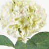 Artificial Flower Hydrangea single stem 4 lvs GS-15423018CONTI-UV-P1_1 Artificial Flower 21*21*64cm Hydrangea single stem /4 lvs GS-15423018CONTI-UV-P1 Single Flowers YeahFlower is one of Chinese leading OEM manufacturers and exporters , supplying the silk flowers, wholesale artificial trees