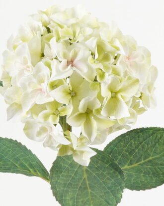 Artificial Flower 21*21*64cm Hydrangea single stem /4 lvs GS-15423018CONTI-UV-P1 Single Flowers YeahFlower is one of Chinese leading OEM manufacturers and exporters , supplying the silk flowers, wholesale artificial trees