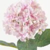 Artificial Flower Hydrangea single stem 4 lvs GS-15423018CONTI-UV-P3_1 Artificial Flower 21*21*64cm Hydrangea single stem /4 lvs GS-15423018CONTI-UV-P3 Single Flowers YeahFlower is one of Chinese leading OEM manufacturers and exporters , supplying the silk flowers, wholesale artificial trees