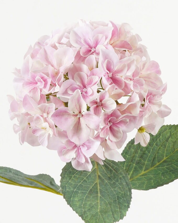 Artificial Flower Hydrangea single stem 4 lvs GS-15423018CONTI-UV-P3_1 Artificial Flower 21*21*64cm Hydrangea single stem /4 lvs GS-15423018CONTI-UV-P3 Single Flowers YeahFlower is one of Chinese leading OEM manufacturers and exporters , supplying the silk flowers, wholesale artificial trees