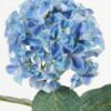 Artificial Flower Hydrangea single stem 4 lvs GS-15423018CONTI-UV_2 Artificial Flower 21*21*64cm Hydrangea single stem /4 lvs GS-15423018CONTI-UV Single Flowers YeahFlower is one of Chinese leading OEM manufacturers and exporters , supplying the silk flowers, wholesale artificial trees