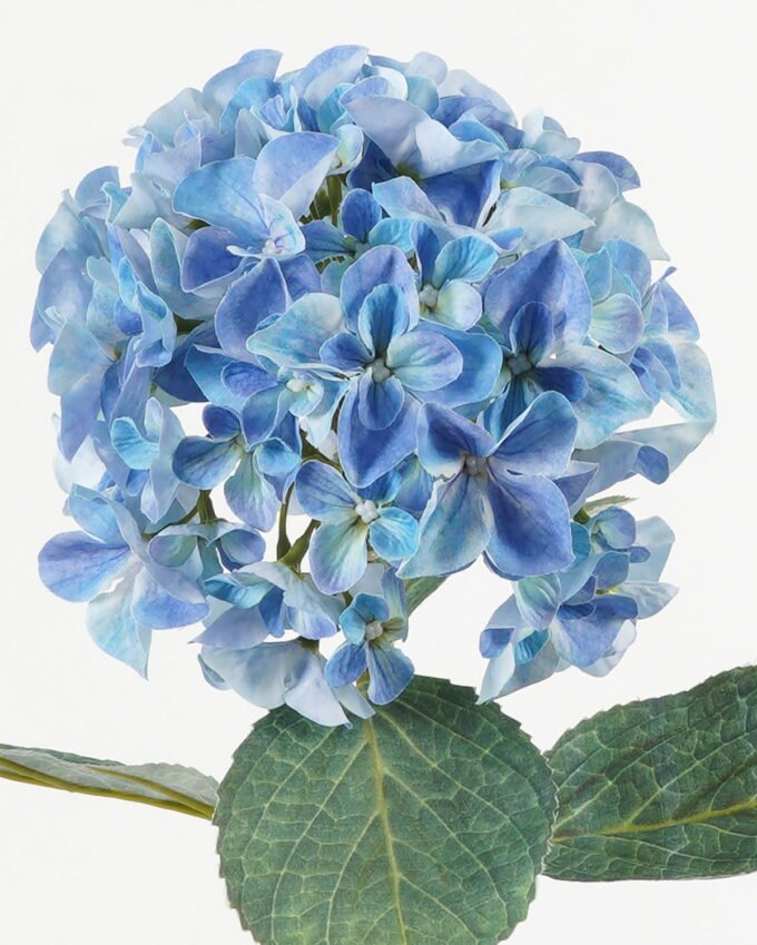 Artificial Flower Hydrangea single stem 4 lvs GS-15423018CONTI-UV_2 Artificial Flower 21*21*64cm Hydrangea single stem /4 lvs GS-15423018CONTI-UV Single Flowers YeahFlower is one of Chinese leading OEM manufacturers and exporters , supplying the silk flowers, wholesale artificial trees