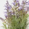 Artificial Flower 15*15*41cm Lavender *5 bush GS-36623011CONTI Flowers Bush YeahFlower is one of Chinese leading OEM manufacturers and exporters , supplying the silk flowers, wholesale artificial trees